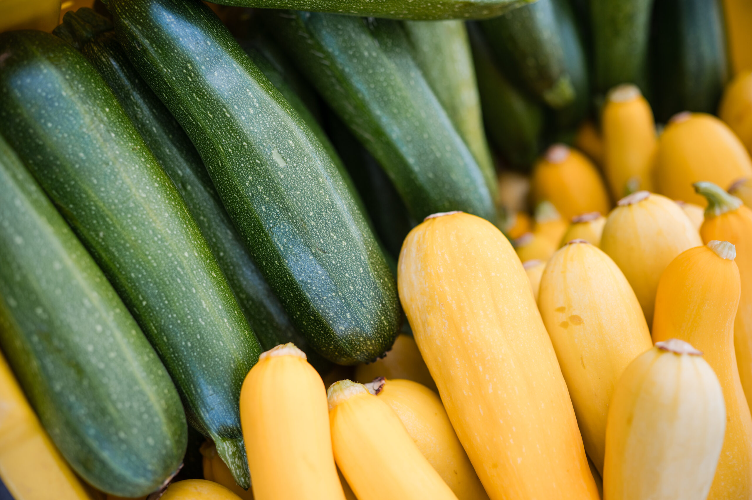 Shoppers and vendor stalls at the Tuscarawas Valley Farmers Market