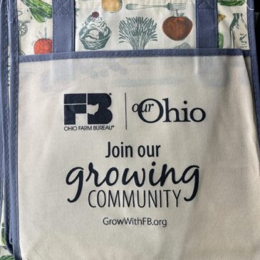 A Bag of Gratitude