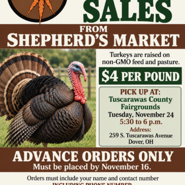 Here A Turkey. There A Turkey